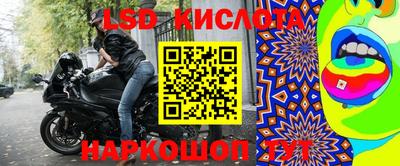 PSILOCYBIN Камышлов