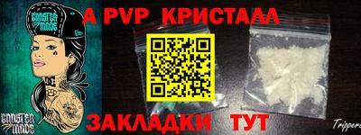 PSILOCYBIN Камышлов