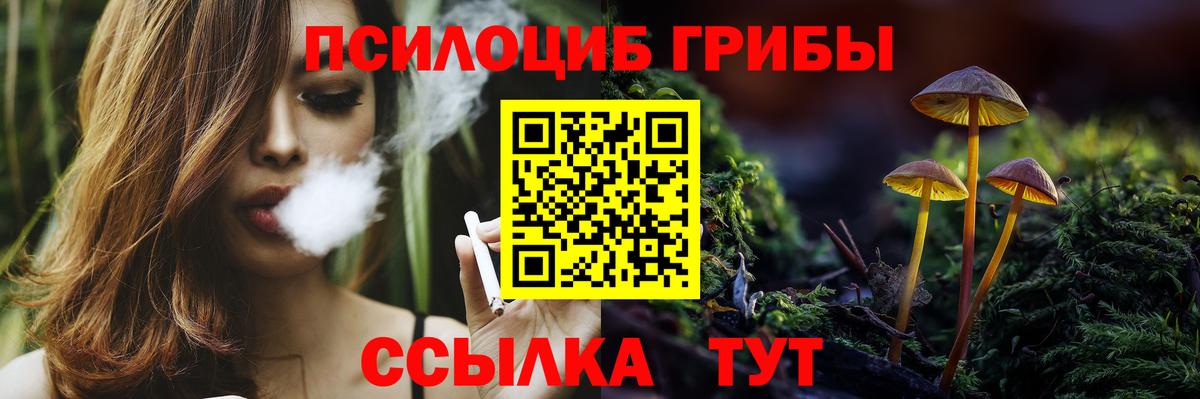 Галлюциногенные грибы ЛСД  Псилоцибиновые грибы Psilocybine cubensis  Краснодар  Вход с VPN 